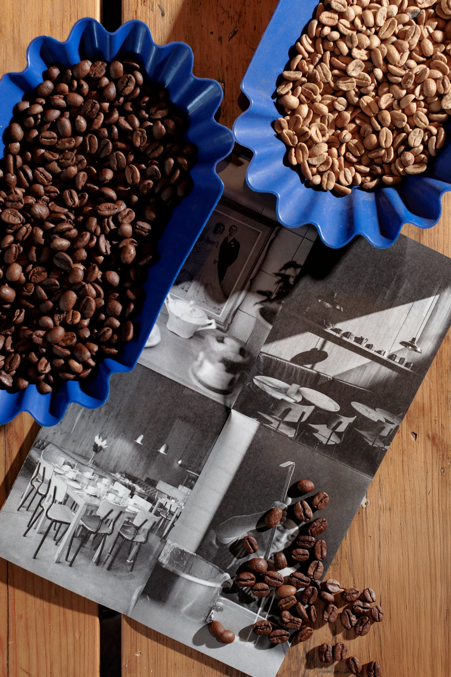 Cata de Café