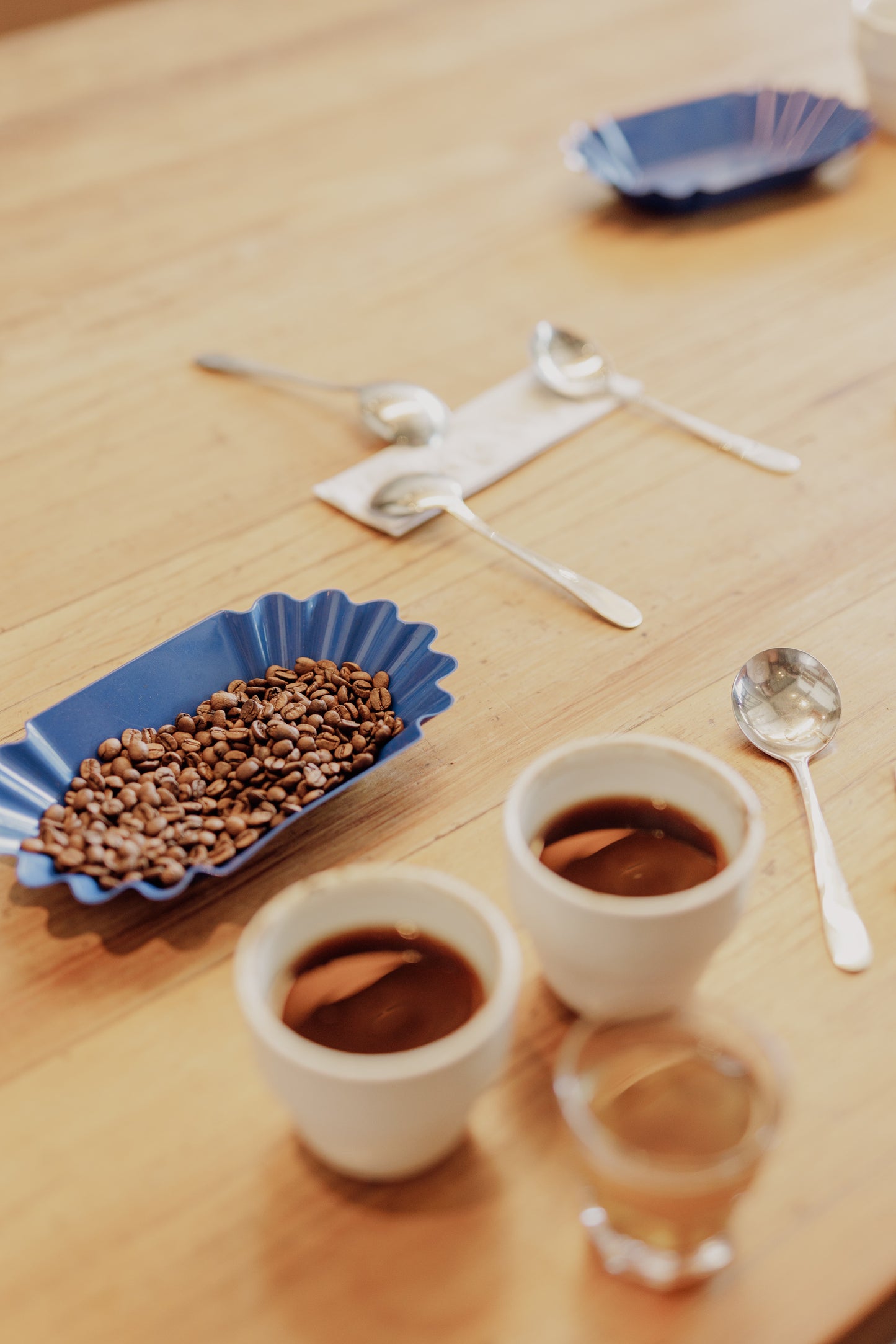 Cata de Café